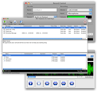 click here to see more screenshots for the IMS OnHold Messages System
