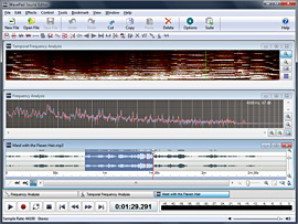WavePad Main window