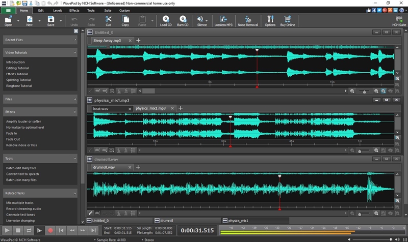 WavePad Music Editor Software edits voice and sound recordings on a Windows PC