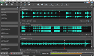 WavePad Audio Editor