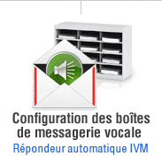 Télécharger IVM maintenant