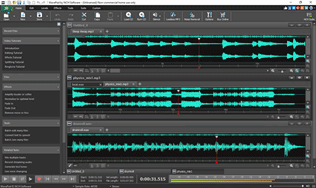 Schermata del software di editing audio WavePad