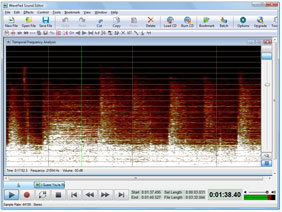 WavePad TFFT-Graph